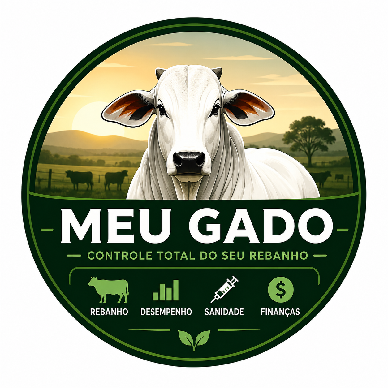 Meu Gado
